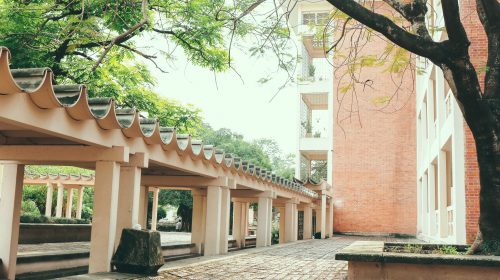 355252975_271564925544385_6756106910982549020_n