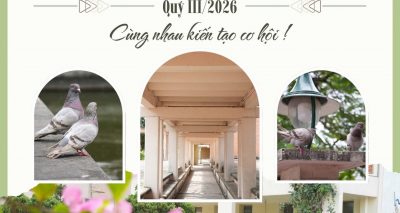 BTNB.Q3.2026-hình ảnh-0